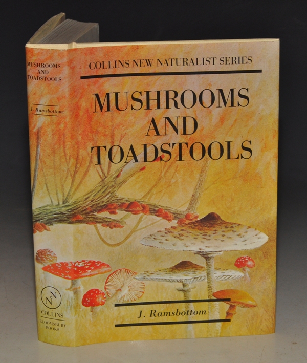 Image for Mushrooms & Toadstools. A Study of the Activities of Fungi. (The New Naturalist 7).