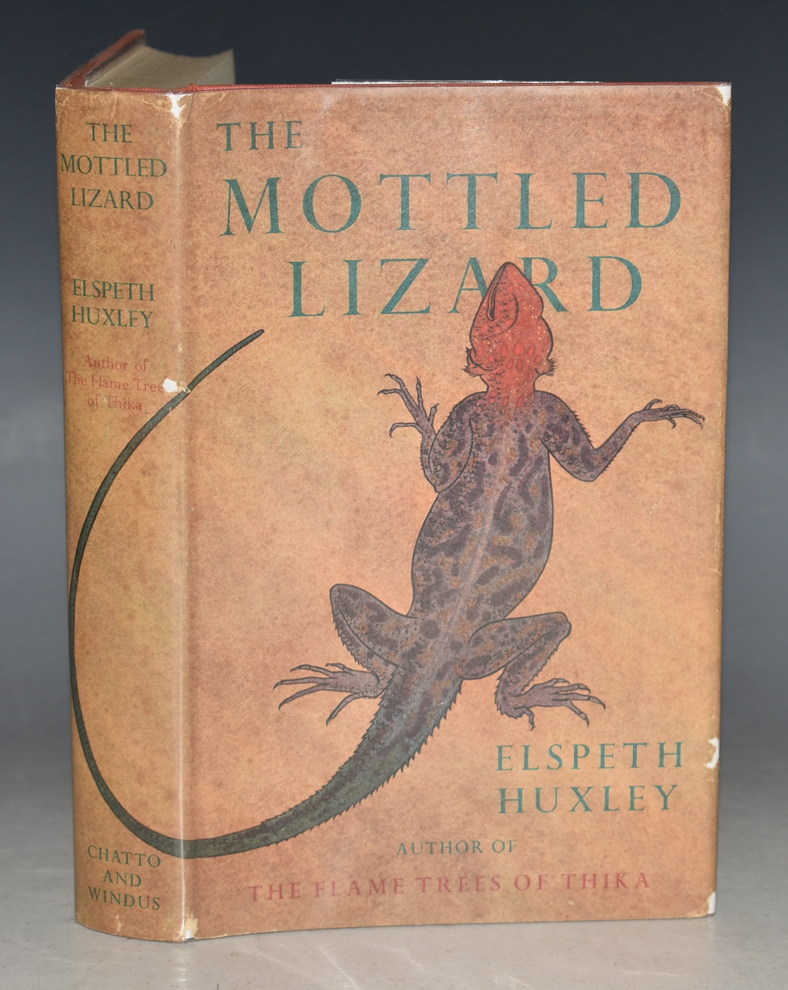 The Mottled Lizard