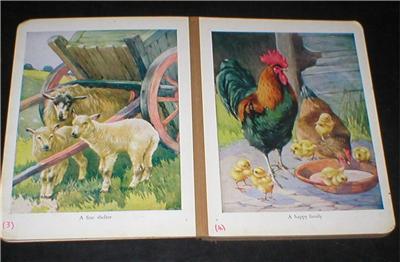 Image for Favourite Animals