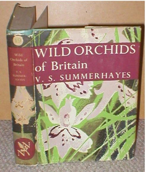 Image for Wild Orchids Of Britain, with a key to the species. New Naturalist 18