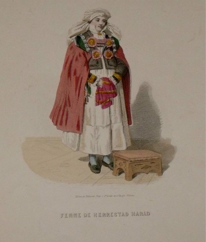 Image for Attractive original engraving of Femme de Herrestad Harad. Woman from Herrestad Harad.