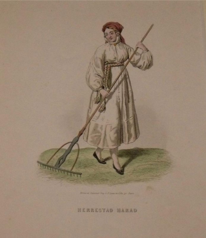 Image for Attractive original engraving of Herrestad Harad. Woman from Herrestad Harad.