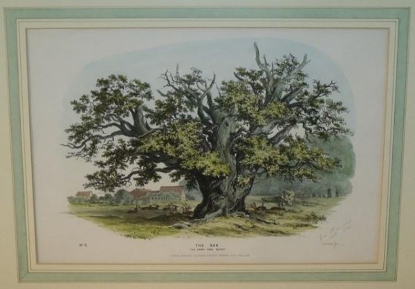 Image for The OAK. The Home Park Bushey. No 12
