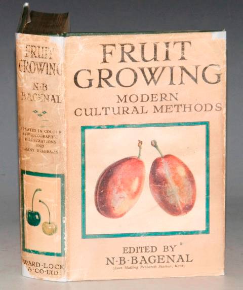 Image for Fruit Growing. Modern Cultural Methods.