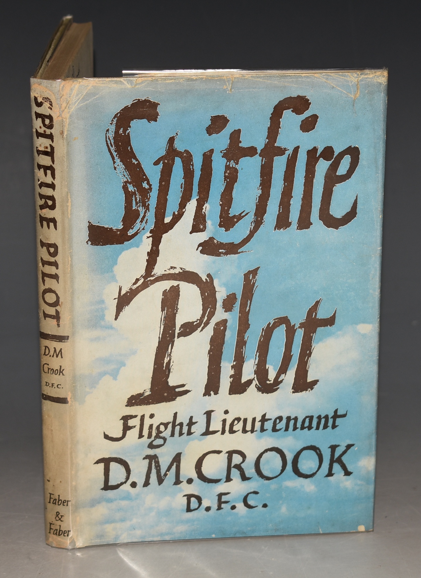 Spitfire Pilot